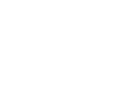 The-Perception-Website-Semplice-Images_pacer